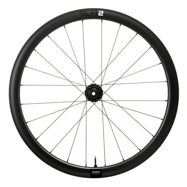Giant SLR 2 Tubeless Carbon Disc 42 Front Wheel - Clincher - Centerlock - 12x100mm