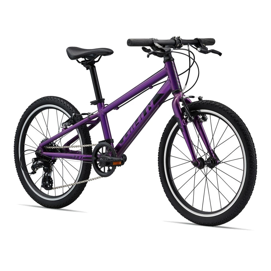 Giant ARX 20" Children's Bike - Purple - Afbeelding 3