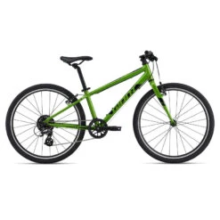 Giant ARX 24" Kids Bike - Metallic Green